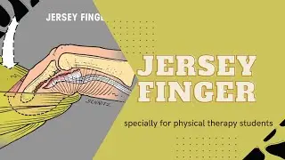 [ENG SUB] JERSEY FINGER | DETAILED CONCEPT | IMPORTANT TOPIC I PHYSIOTHERAPY/MANUAL THERAPY