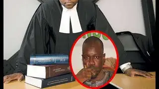 Son immunité parlementaire levée, Ousmane Sonko tombe dans les mains du juge Mamadou Seck...