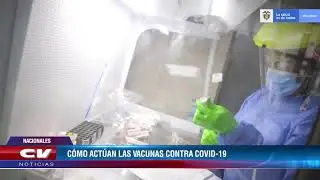 CÓMO ACTÚAN LAS VACUNAS CONTRA COVID-19