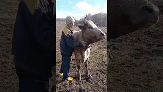 Когда взаимопонимание и гармония