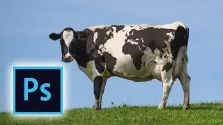 Photoshop Editing Replace Texture on Cow Photoshop Tutorial World Map