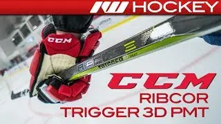 CCM RibCor Trigger 3D PMT // On-Ice Review