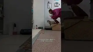 Бывает и так.. #рекомендации #котики