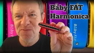 Baby Fat Harmonica review