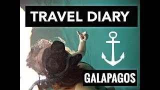 Travel Diary: Galapagos Island Snorkeling Edition