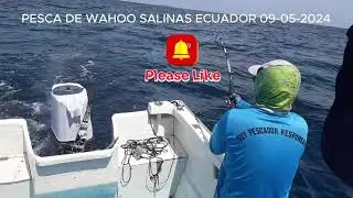 PESCA DE WAHOO EN SALINAS ECUADOR 09-05-2024
