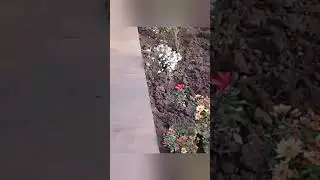 На сегодня с посадкой всё.