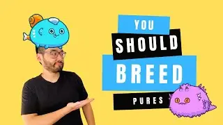 Why Pure Axies Are Your Safest Bet