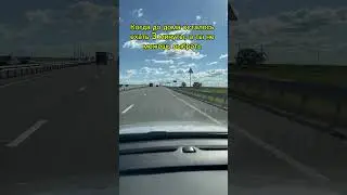 Ну ведь жиза же #шортс #юмор #прикол
