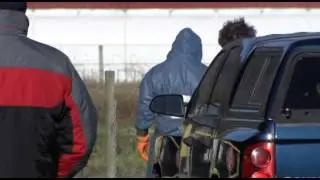Powerful Strain of Avian Flu Identified