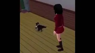 Cat dancing