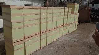Шестирамочники из ППС 👍🐝
