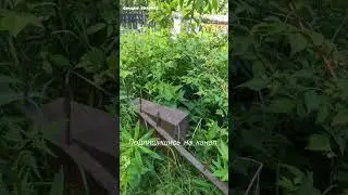 Заброшенные захоронения Балино 3ч