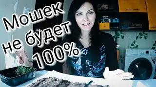 Как избавится от комнатных мошек в цветах.Мошек в горшках с цветами больше не будет