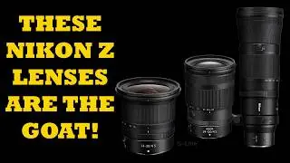 3 Must-Have Nikon Z Lenses That Give You the Most Bang for Your Buck!