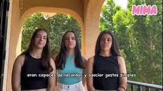 Musicoterapia: Los efectos de la música en pacientes con Alzheimer.