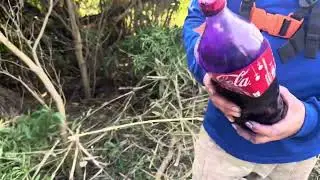 Limpando o pasto 🐑🐑🐑🐑- o que não te contaram sobre isso…