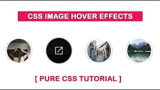 How TO Create Image Hover Effects Using CSS - Pure CSS Image Hover Effects