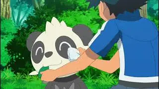 Pokemon XY Pancham Pokedex Data