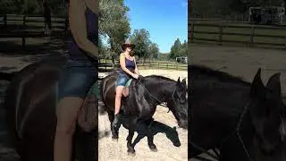 Riding Balanced Bitless & Bareback, Part I - mind-body awareness