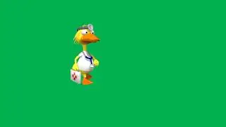 Duck cartoon animated in Green Screen│Motion Graphic Transitions│Green Screen│OBS