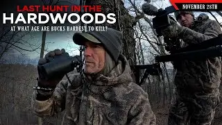 Last Hunt in the Hardwoods - When are Bucks Hardest to Kill? | Bowhunting Whitetails w/ Bill Winke
