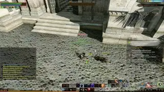 ArcheAge гоняем за твинов сервер эрнард под анигдоты (18+)