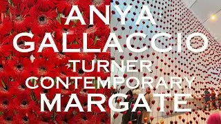 Come and Explore the Organic, Ever-changing Art of Anya Gallaccio in Margate