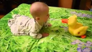 танец с утенком
