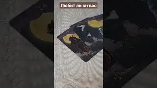 любит ли 