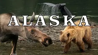 Visiting Alaska - MUST SEE Wildlife & Scenic Spots