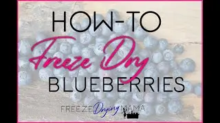How To Freeze Dry Blueberries