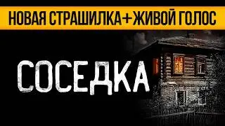 СТРАШНЫЕ ИСТОРИИ ПРО СОСЕДЕЙ - СОСЕДКА. УЖАСЫ. МИСТИКА