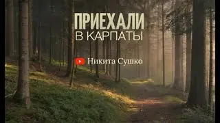 ВЛОГ №10 | ГУЛЯЕМ ПО КАРПАТАМ | ДЕНЬ ПЕРВЫЙ | ГОРА ПЕТРОС | ГОРЫ | ЛЕСА | УКРАИНА | 2022 |