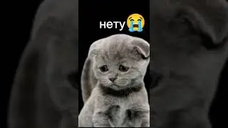 не под звук😫 