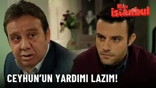 Talip Bey, Hırsız Damgası Yedi! - Ulan İstanbul Özel Klip