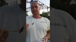 Отправить