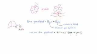 A-a gradients