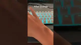 Do O-Rings really make a difference? | O-rings blue switches test