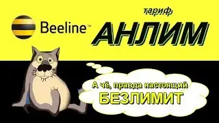 Обзор АНЛИМ от Билайн.  Опять минусы. Халява 300 рублей.
