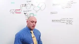 Online MedEd 2019 Nephrology , Video 1
