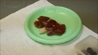 Проверка мяса в лаборатории