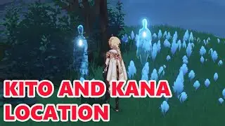 Kito and Kina Location Illusion of Tsurumi Island Genshin Impact 2.2