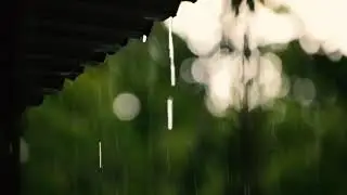 Rain Sounds at Summer Night