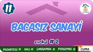 Bacasız Sanayi | 11.Sınıf 