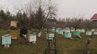 Купили апилифт для уборки ульев в зимовник. Ставим в два этажа.