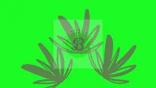 Animated Leafs Green Screen | Bloxx Green Screen