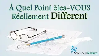 ✔ Test de Personnalité || Découvrez à Quel Point Nos Réponses Peuvent Être Similaires