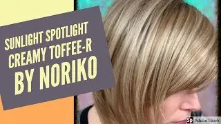 Noriko Creamy Toffee-R Color Analysis Sunlight Spotlight