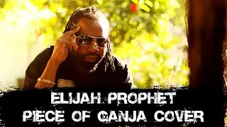 Elijah Prophet, Irievibrations — Piece of Ganja | Reggae Cover On Drums